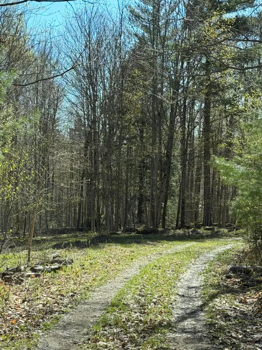 Lot #3 Station Rd-gull Pond Rd Road, Piercefield, NY 12973 - #3