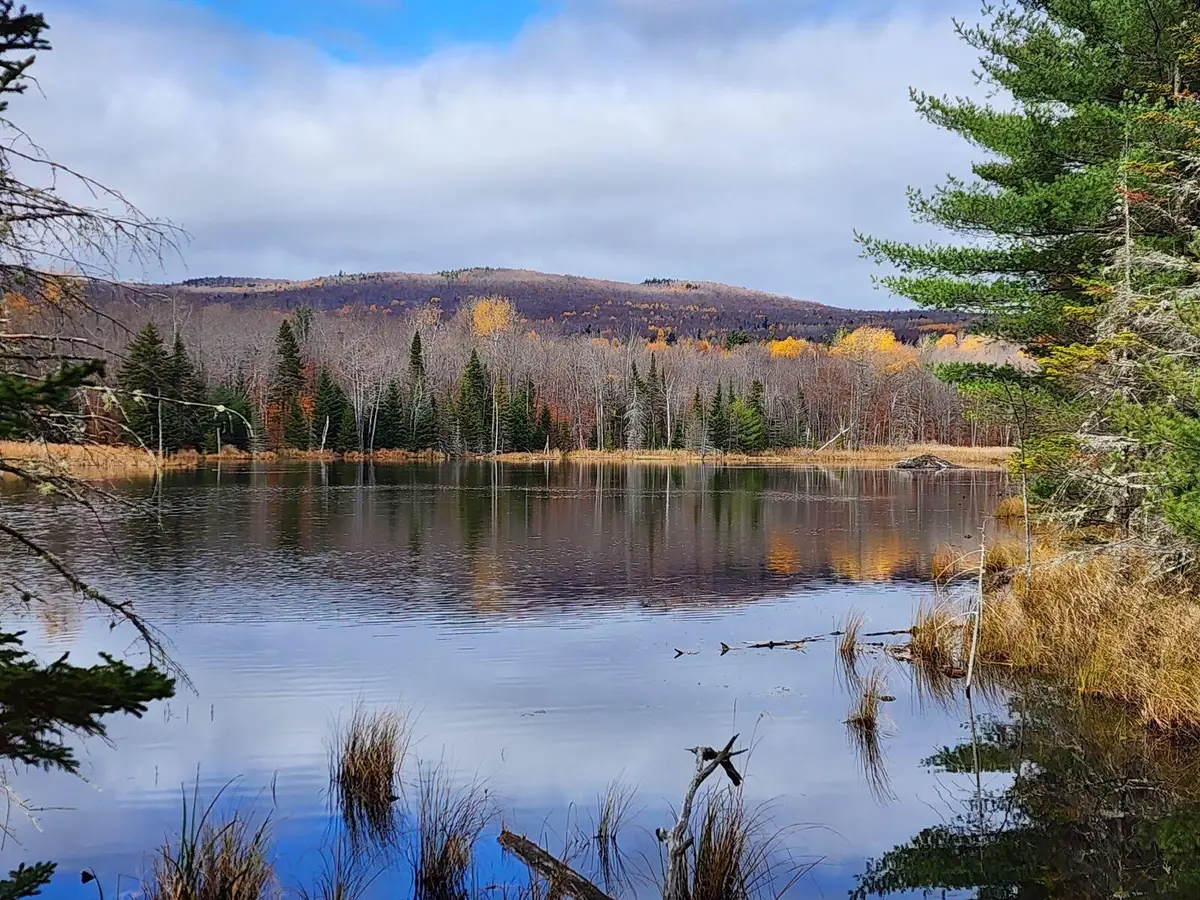 Lot 1 Route 374, Cadyville, NY 12918 - #1