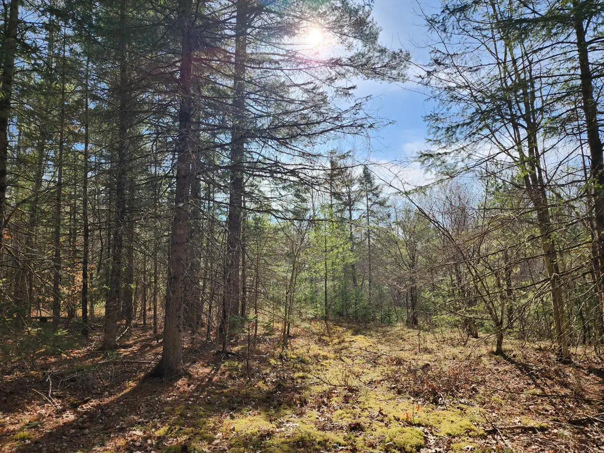 151 Church Lane, Au Sable Forks, NY 12912 - #1