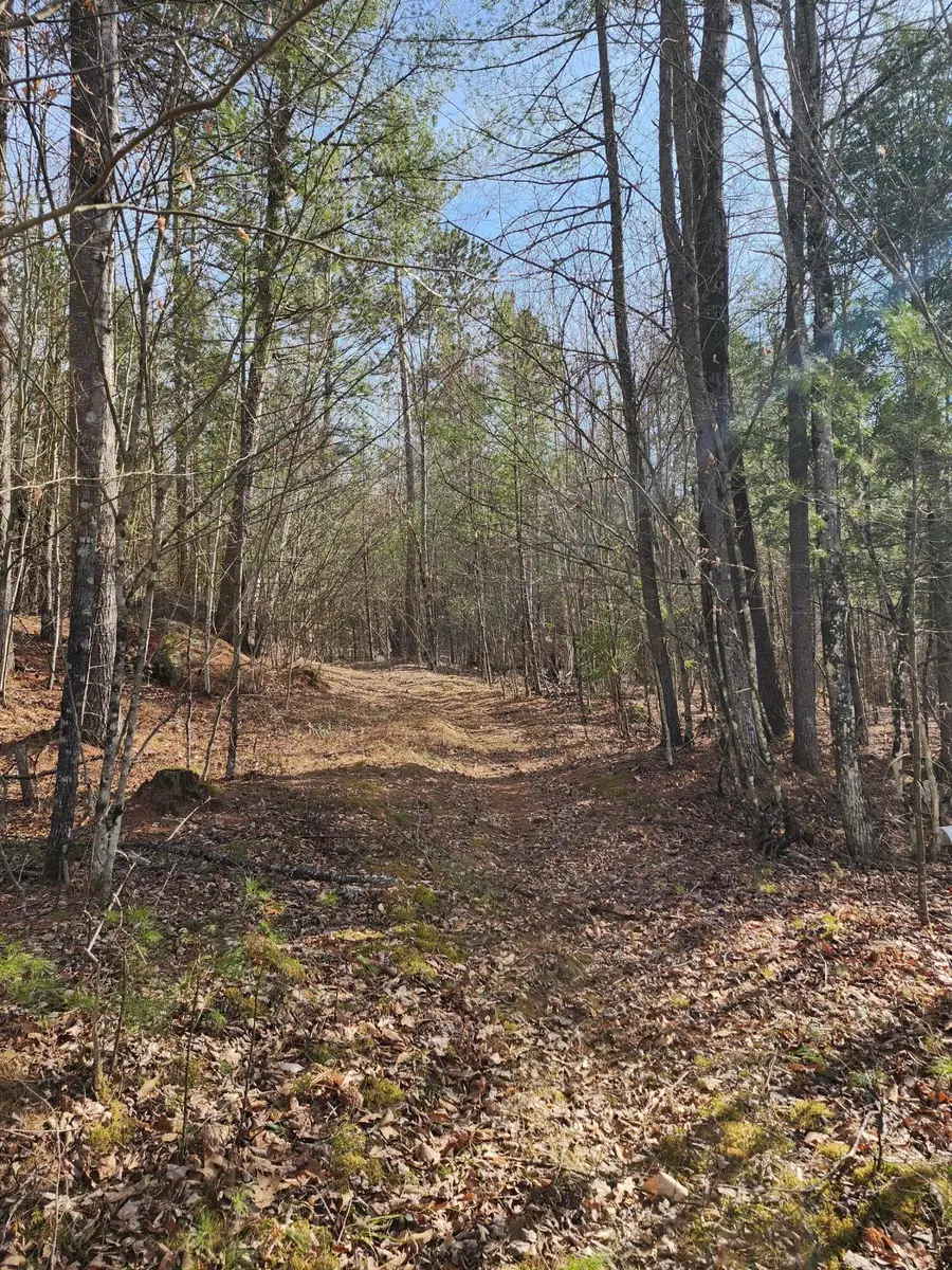 151 Church Lane, Au Sable Forks, NY 12912 - #3