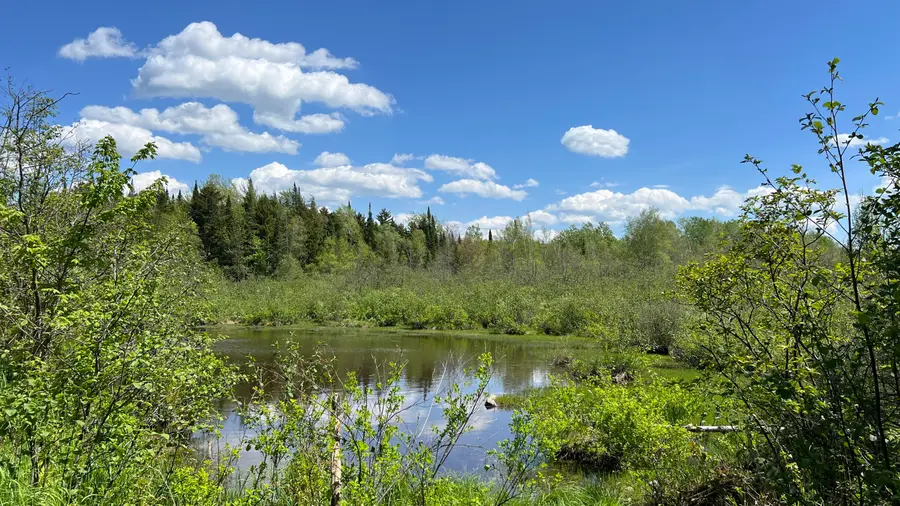 00 French Settlement Road, Malone, NY 12953 - #2