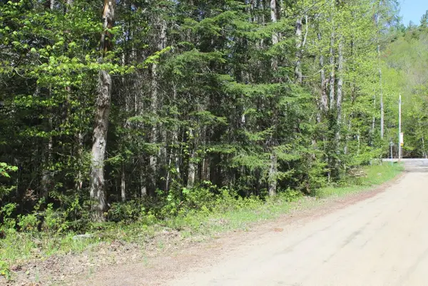 0 State Route 30, Indian Lake, NY 12842