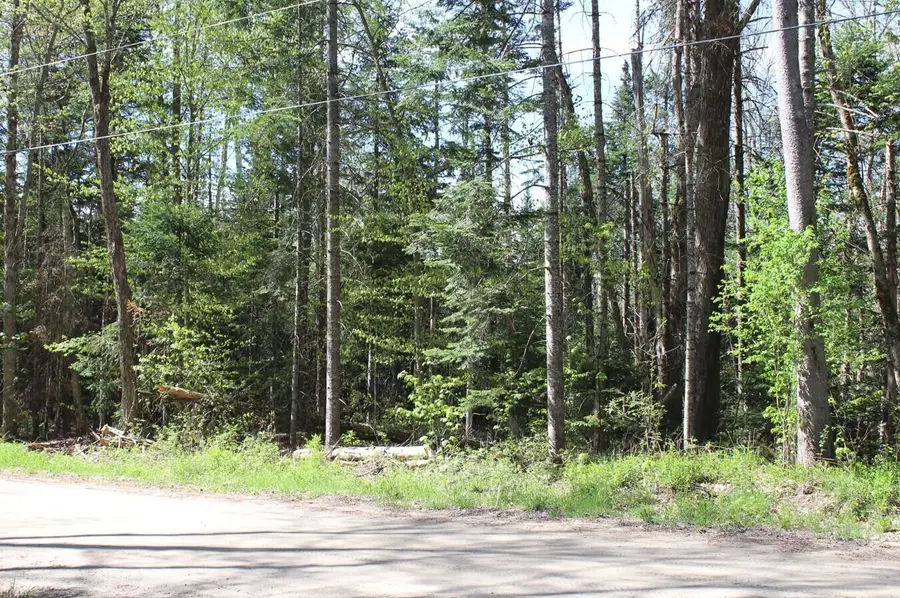0 State Route 30, Indian Lake, NY 12842 - #3