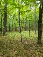 38 Algonquin Lane, Jay, NY 12941 - #1
