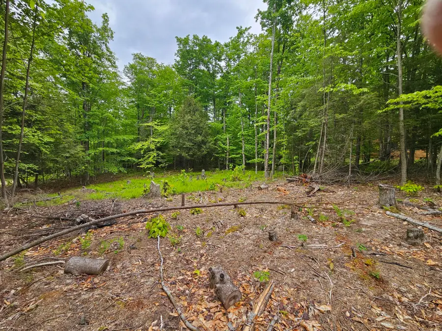 74 Tamarac Drive, Tupper Lake, NY 12986 - #2