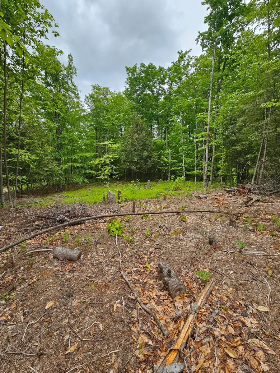 74 Tamarac Drive, Tupper Lake, NY 12986 - #3