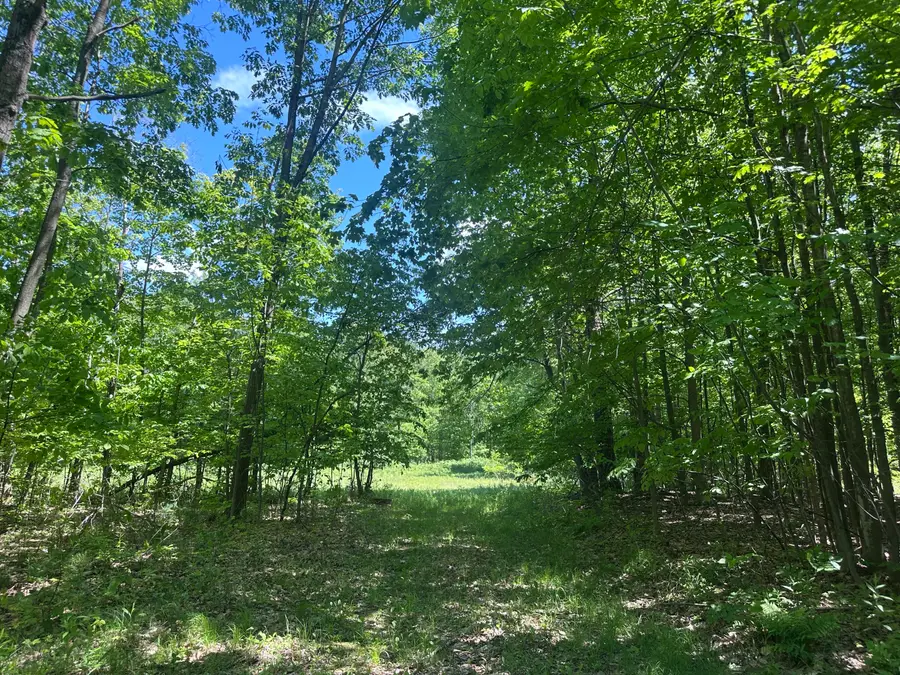 0 Allen Hill Road, Peru, NY 12972 - #2