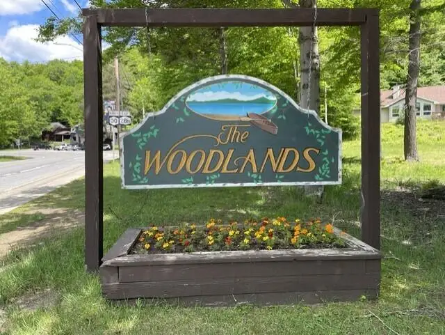 Lot 18 State Route 30, Blue Mountain Lake, NY 12812 - #1