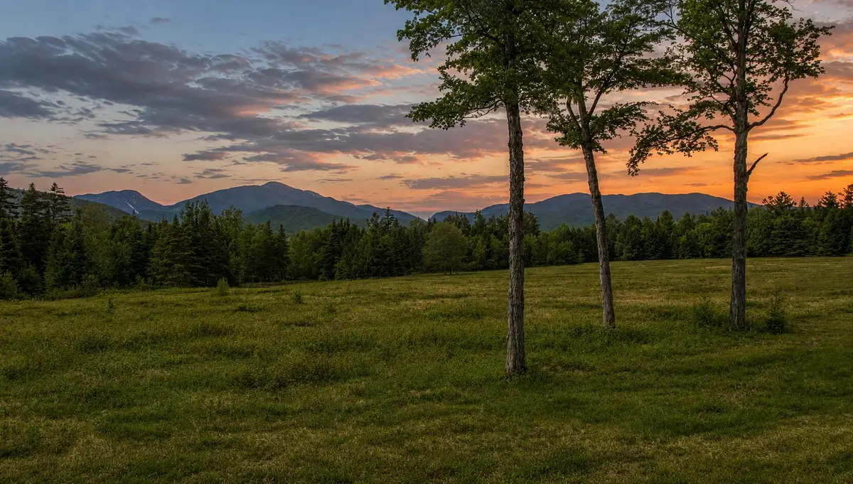 8 Upper Trail, Lake Placid, NY 12946 - #1