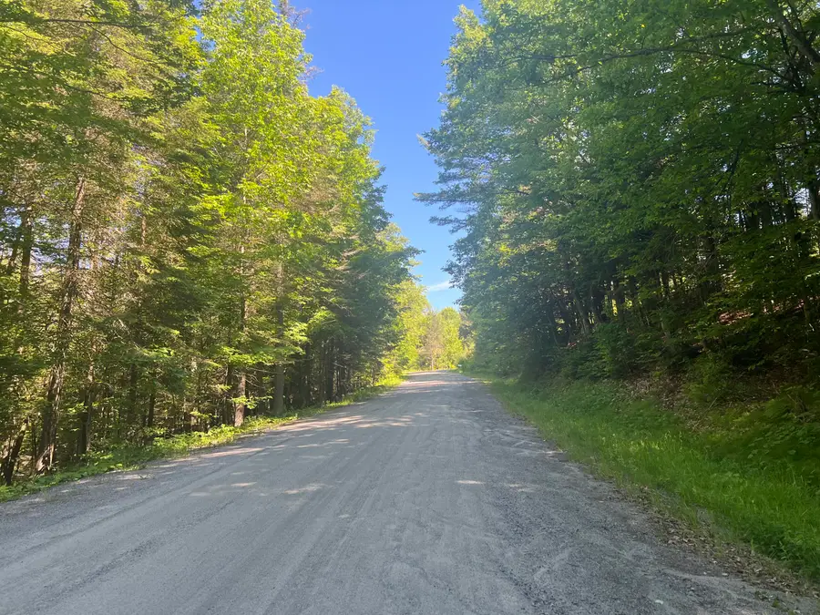 161 Riddle Road, Mineville, NY 12956 - #3