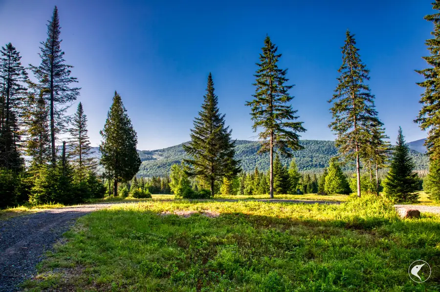 166 Far Horizon Drive, Lake Placid, NY 12946 - #2