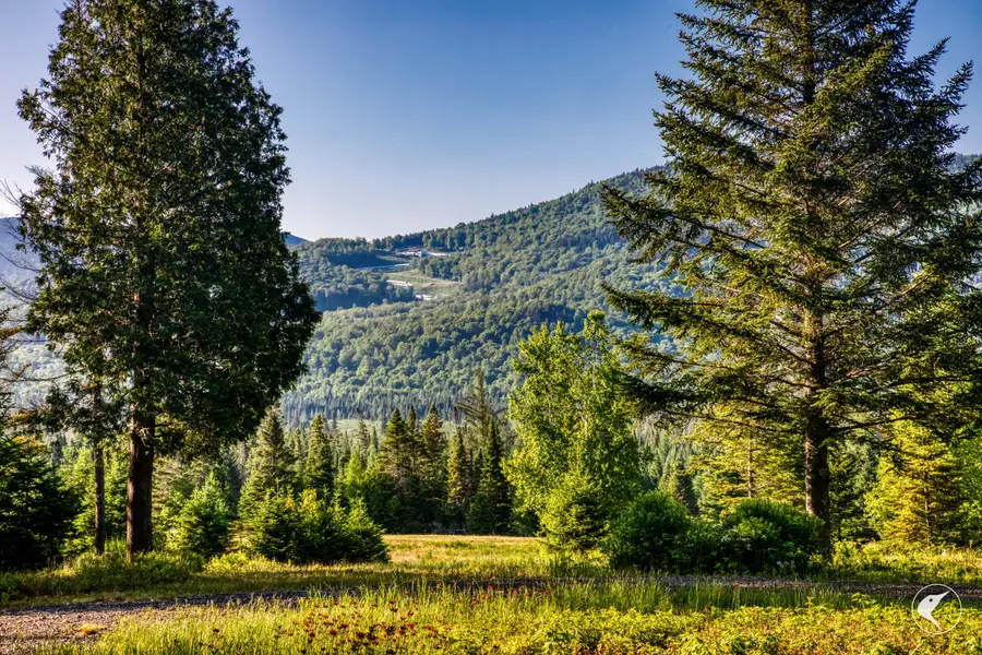 166 Far Horizon Drive, Lake Placid, NY 12946 - #3