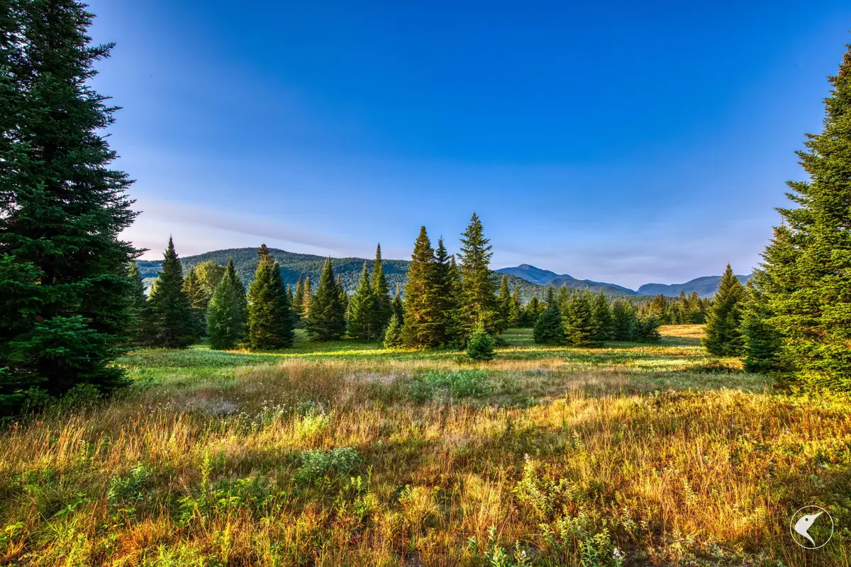 196 Far Horizon Drive, Lake Placid, NY 12946 - #1