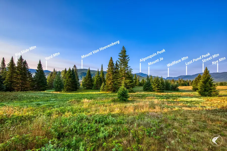 196 Far Horizon Drive, Lake Placid, NY 12946 - #2