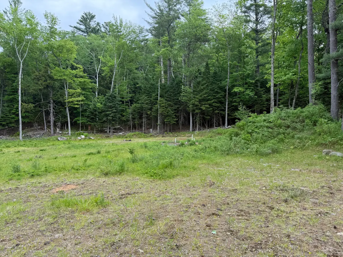 00 Flower Road, Long Lake, NY 12847 - #1