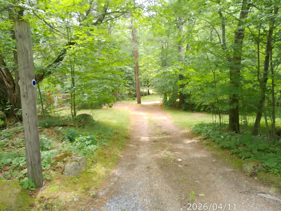 313 Springfield Road, Wilmington, NY 12997 - #2