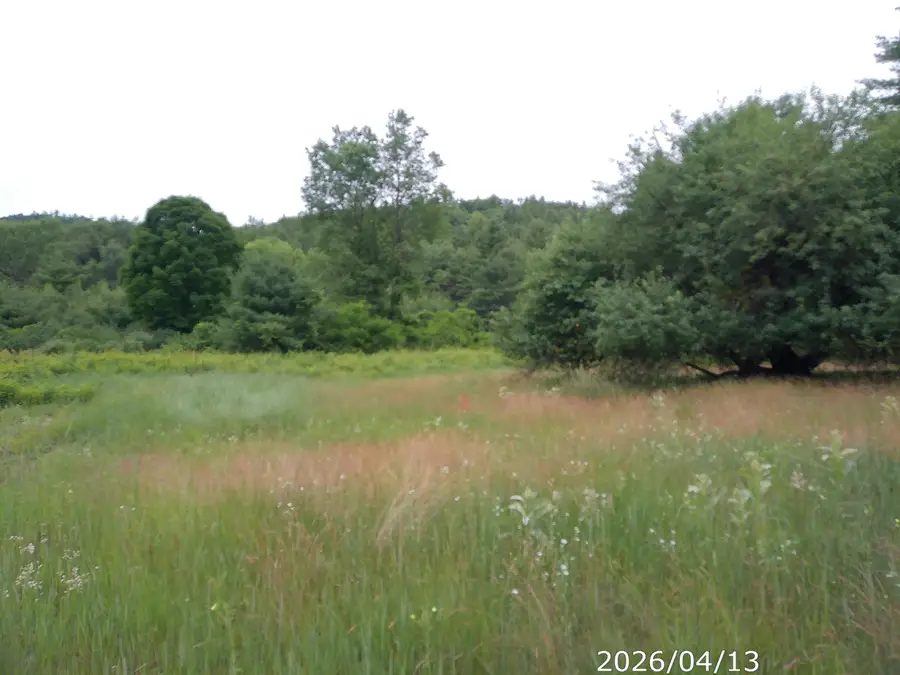 122 Fox Run Road, Elizabethtown, NY 12932 - #2