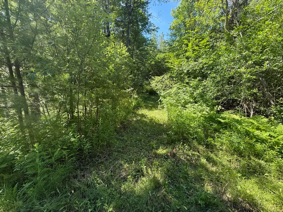 0 Quaker Highlands Road, Peru, NY 12972 - #2