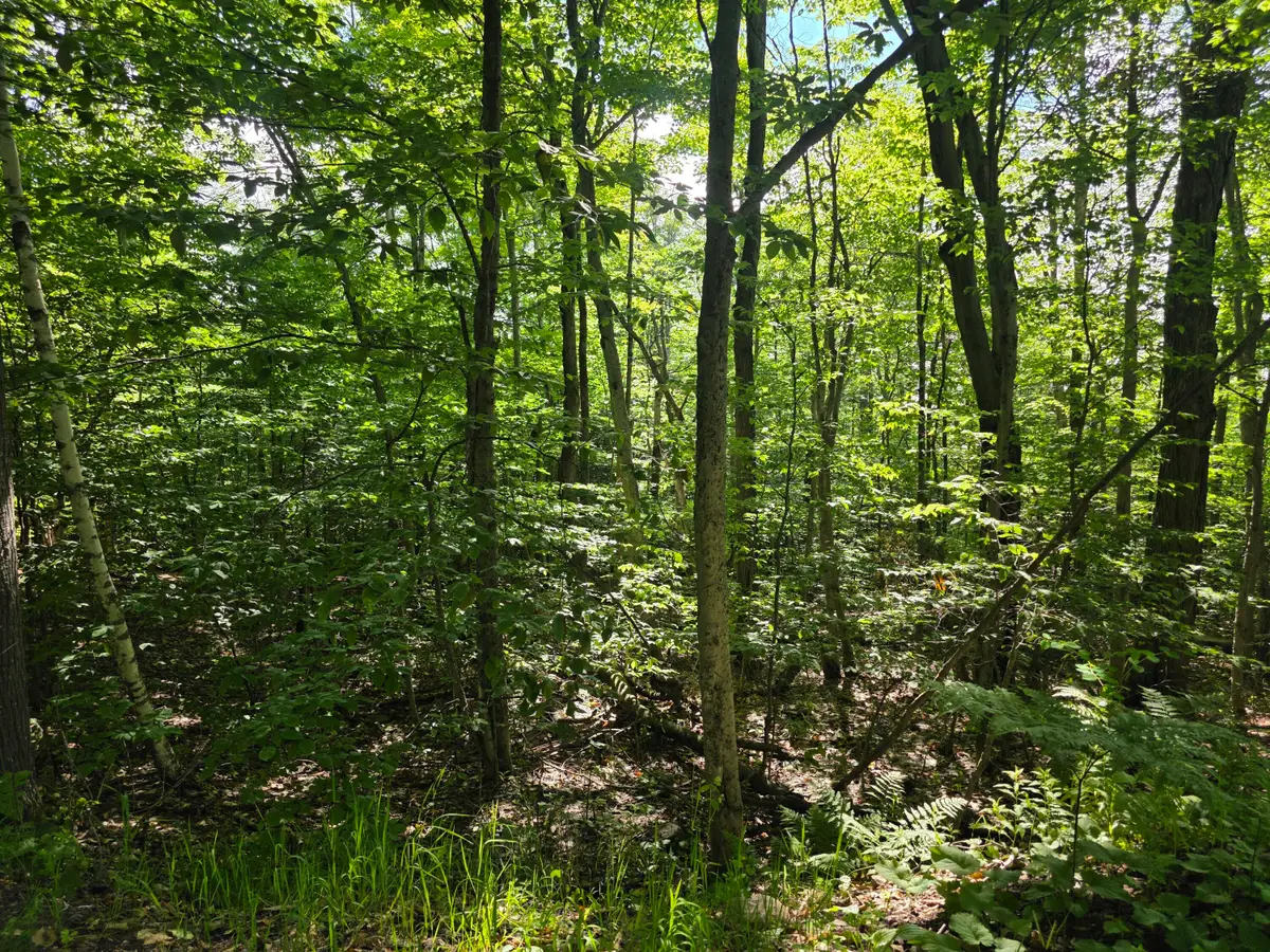 00 Nashville Road, Saranac, NY 12981 - #1