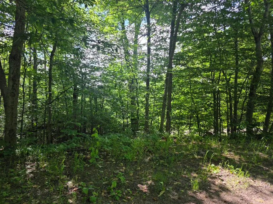 00 Nashville Road, Saranac, NY 12981 - #2