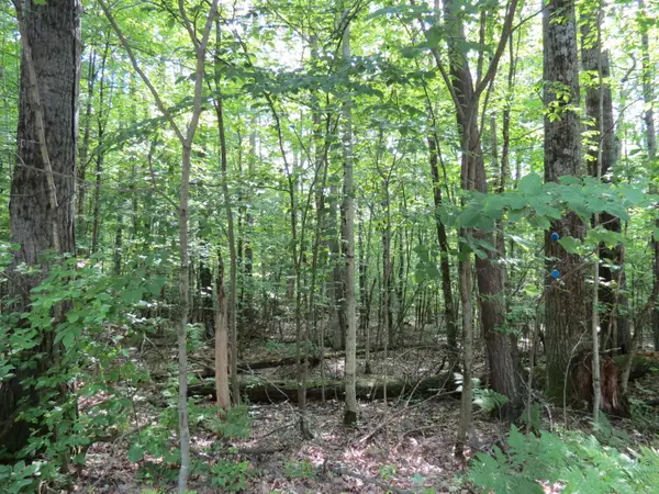 Lot 119 Tannenbaum Lane, Jay, NY 12941