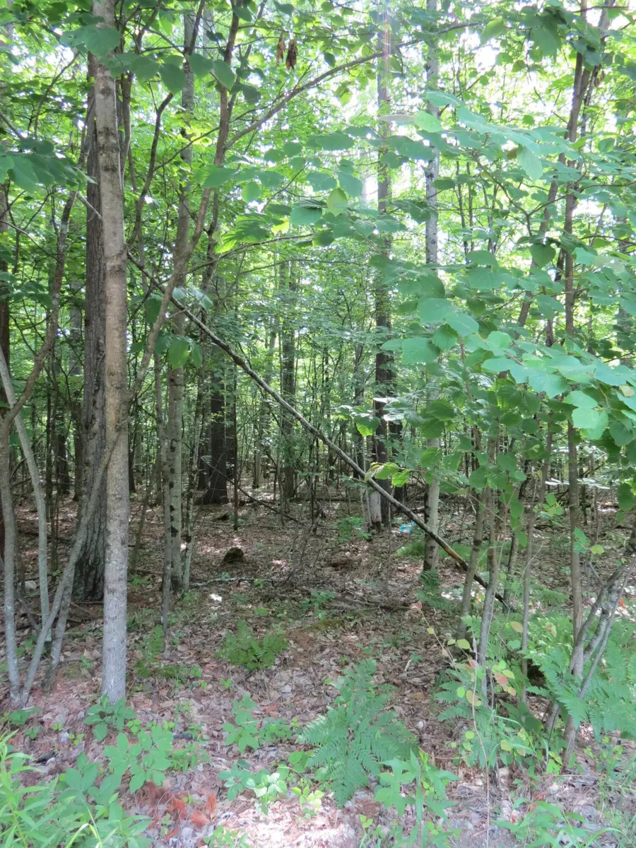 Lot 119 Tannenbaum Lane, Jay, NY 12941 - #2