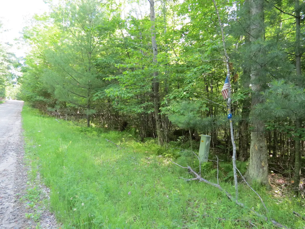 Lot 118 Tannenbaum Lane, Jay, NY 12941 - #1