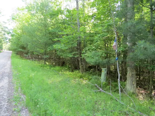 Lot 118 Tannenbaum Lane, Jay, NY 12941