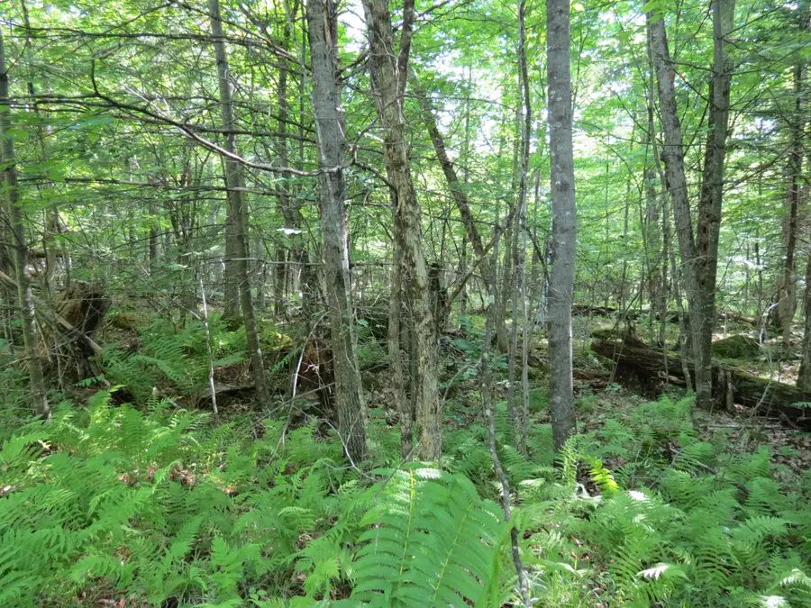 Lot 118 Tannenbaum Lane, Jay, NY 12941 - #2