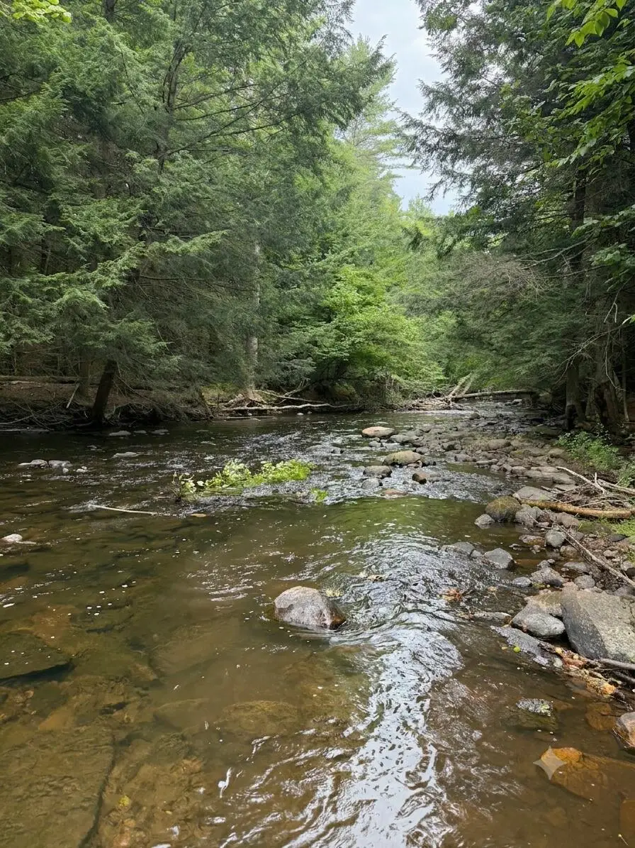 Lot 36.1 Military Turnpike, Plattsburgh, NY 12901 - #1