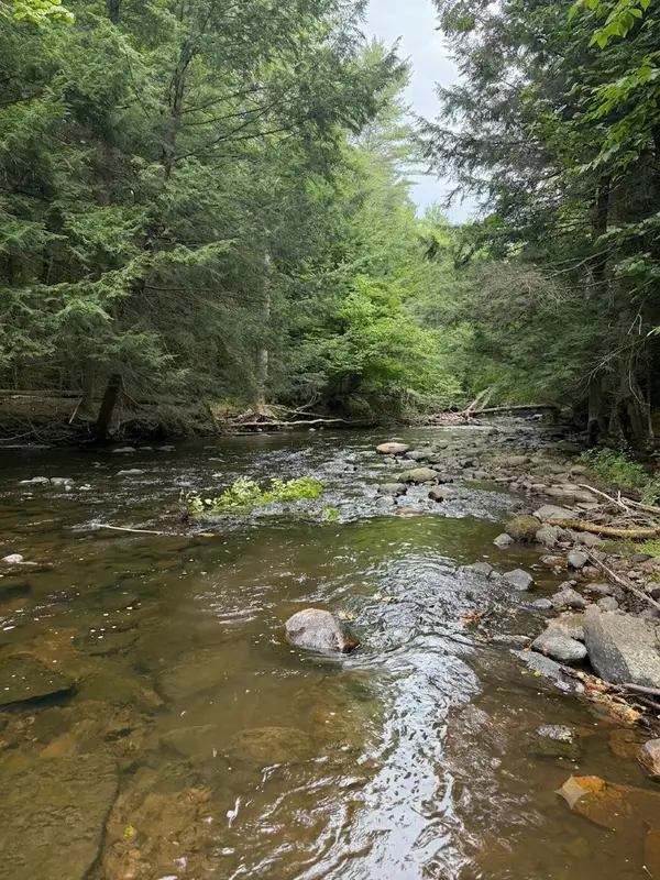 Lot 36.1 Military Turnpike, Plattsburgh, NY 12901