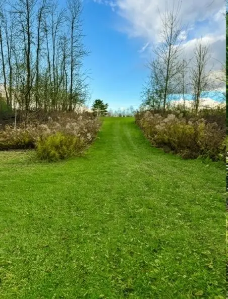 Lot 36.1 Military Turnpike, Plattsburgh, NY 12901 - #3