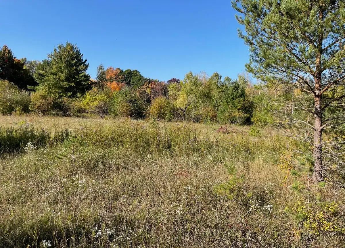 0 Wilcox Avenue, Malone, NY 12953 - #1