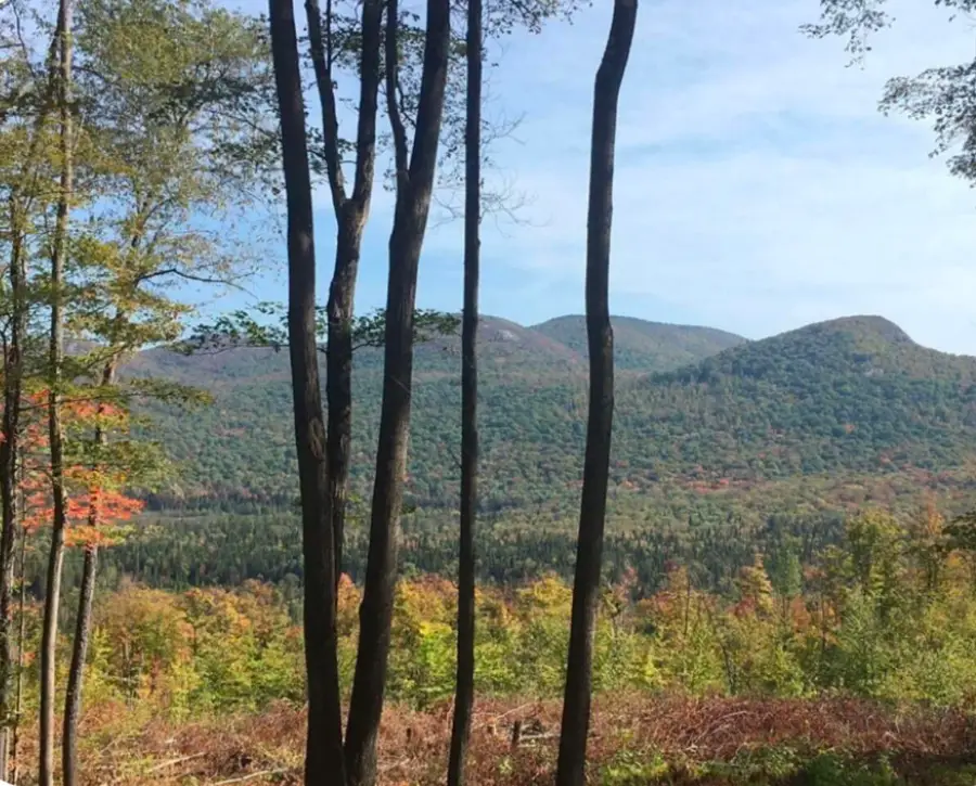 1189 County Route 26, Loon Lake, NY 12989 - #2