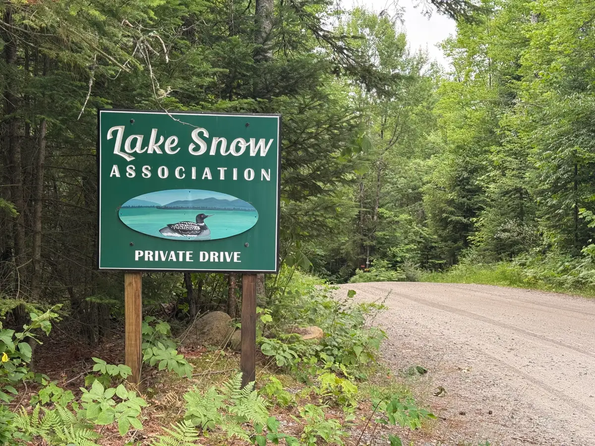 L23 Lake Snow Road, Indian Lake, NY 12842 - #1