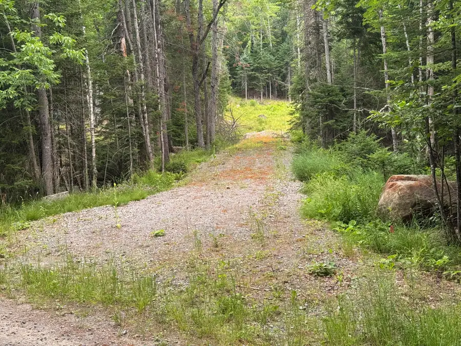 L23 Lake Snow Road, Indian Lake, NY 12842 - #3