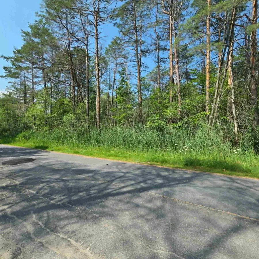 17 Pinewood Drive, Peru, NY 12972 - #3