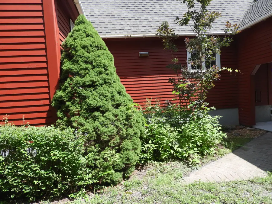 33 Alfreda Court, Morrisonville, NY 12962 - #3