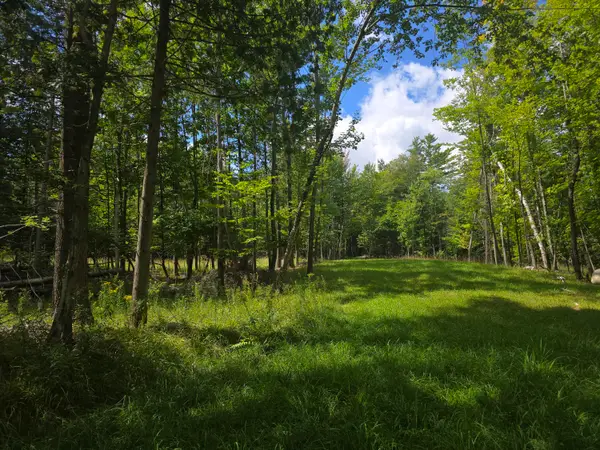 520 Trumbulls Road, Jay, NY 12941