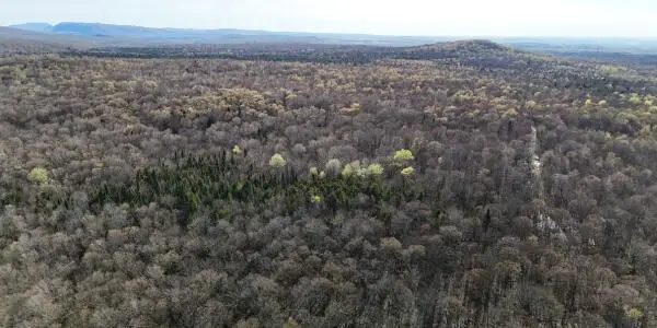 00 Blair Kiln Road, Bellmont, NY 12920 - #1