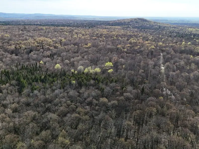 00 Blair Kiln Road, Bellmont, NY 12920 - #2