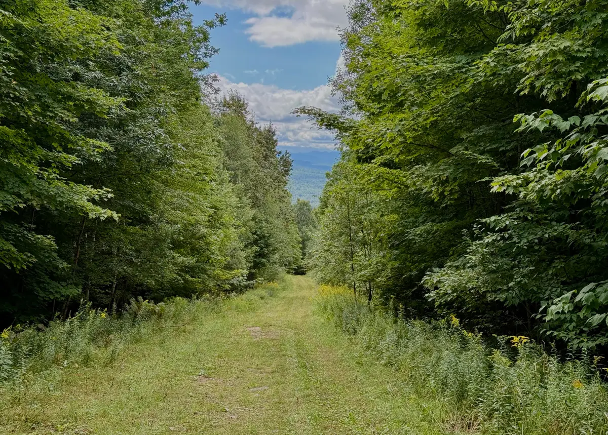 0 Dann Road, Saranac, NY 12981 - #1