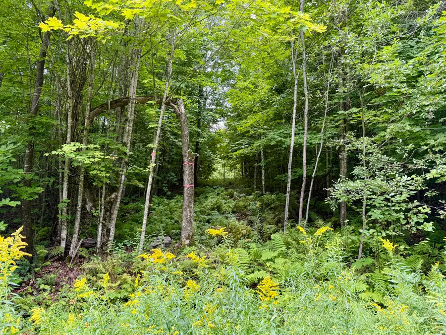 0 Dann Road, Saranac, NY 12981 - #2