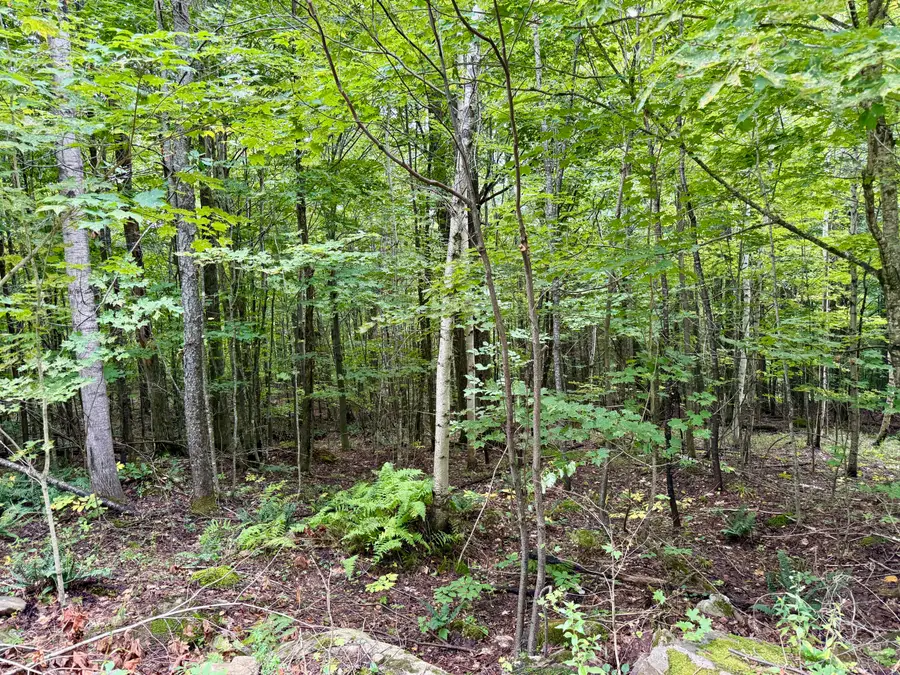 0 Dann Road, Saranac, NY 12981 - #3