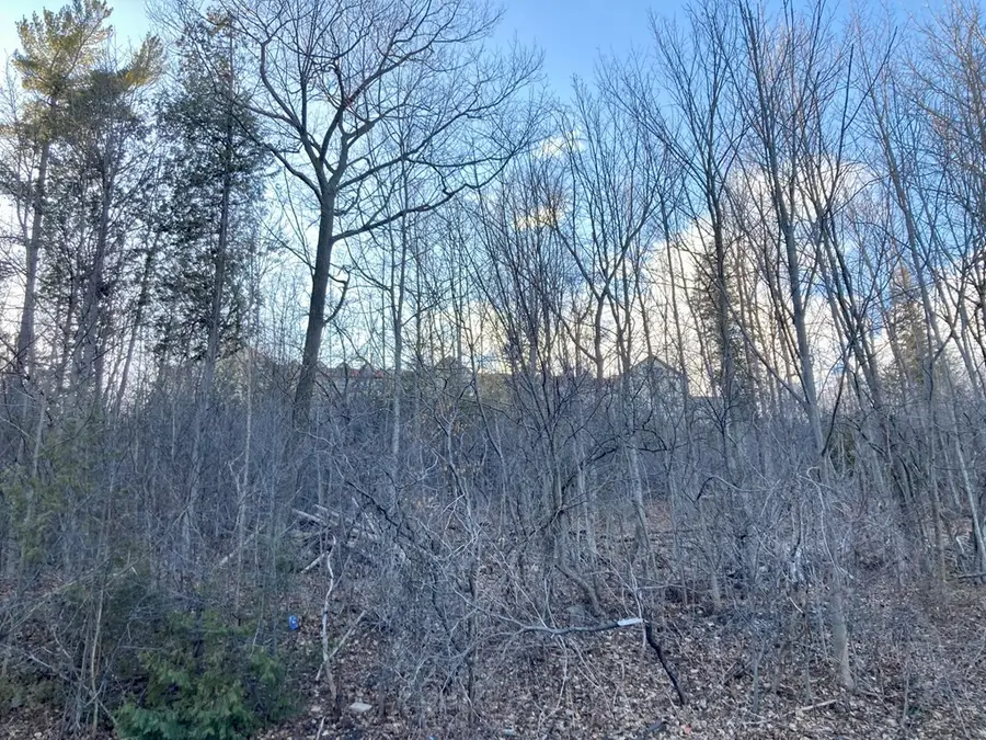 00 Wood Cliff Drive, Plattsburgh, NY 12901 - #3