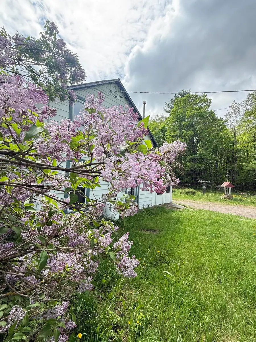 132 Blanche Road, Lyon Mountain, NY 12955 - #3