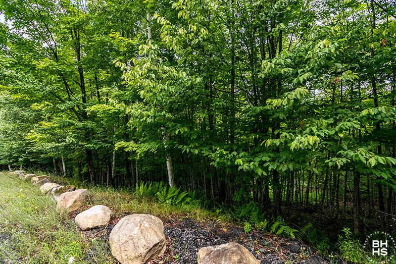 14 Mt Pisgah Park, Saranac Lake, NY 12983 - #1