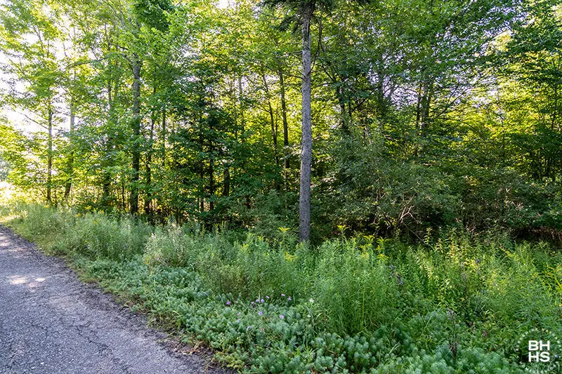 Lot 18 Mt Pisgah Park, Saranac Lake, NY 12983 - #3