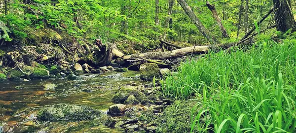 00 Wilfred King Road, Dannemora, NY 12918