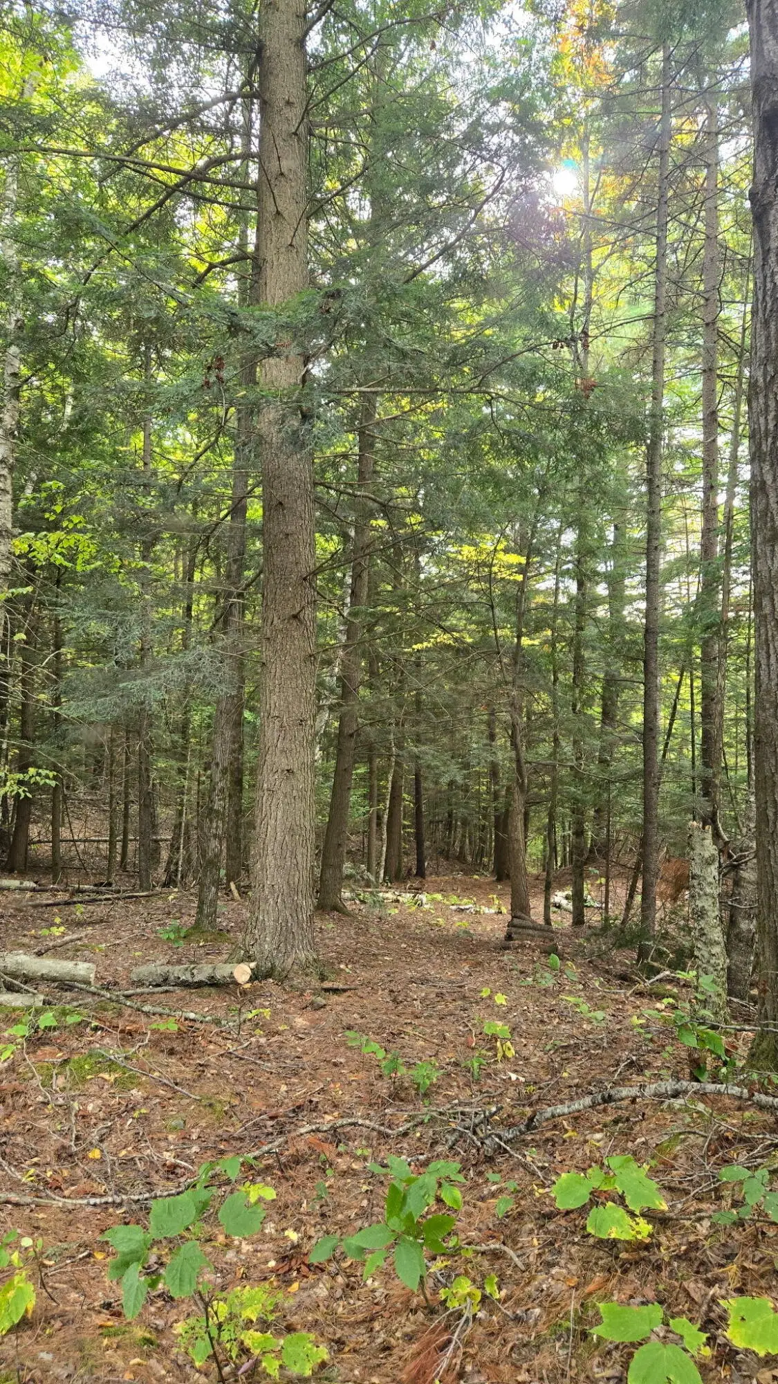 0 Priest Road, Redford, NY 12978 - #1